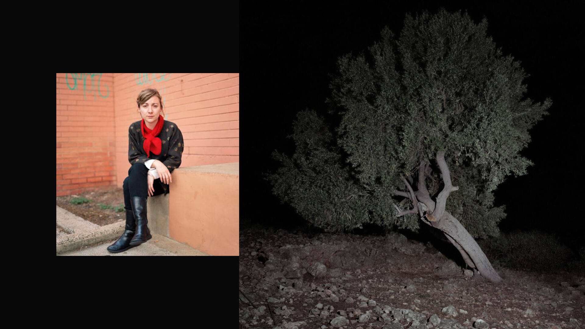 A Photographic Odyssey: Capturing The Beauty Of Abilene County