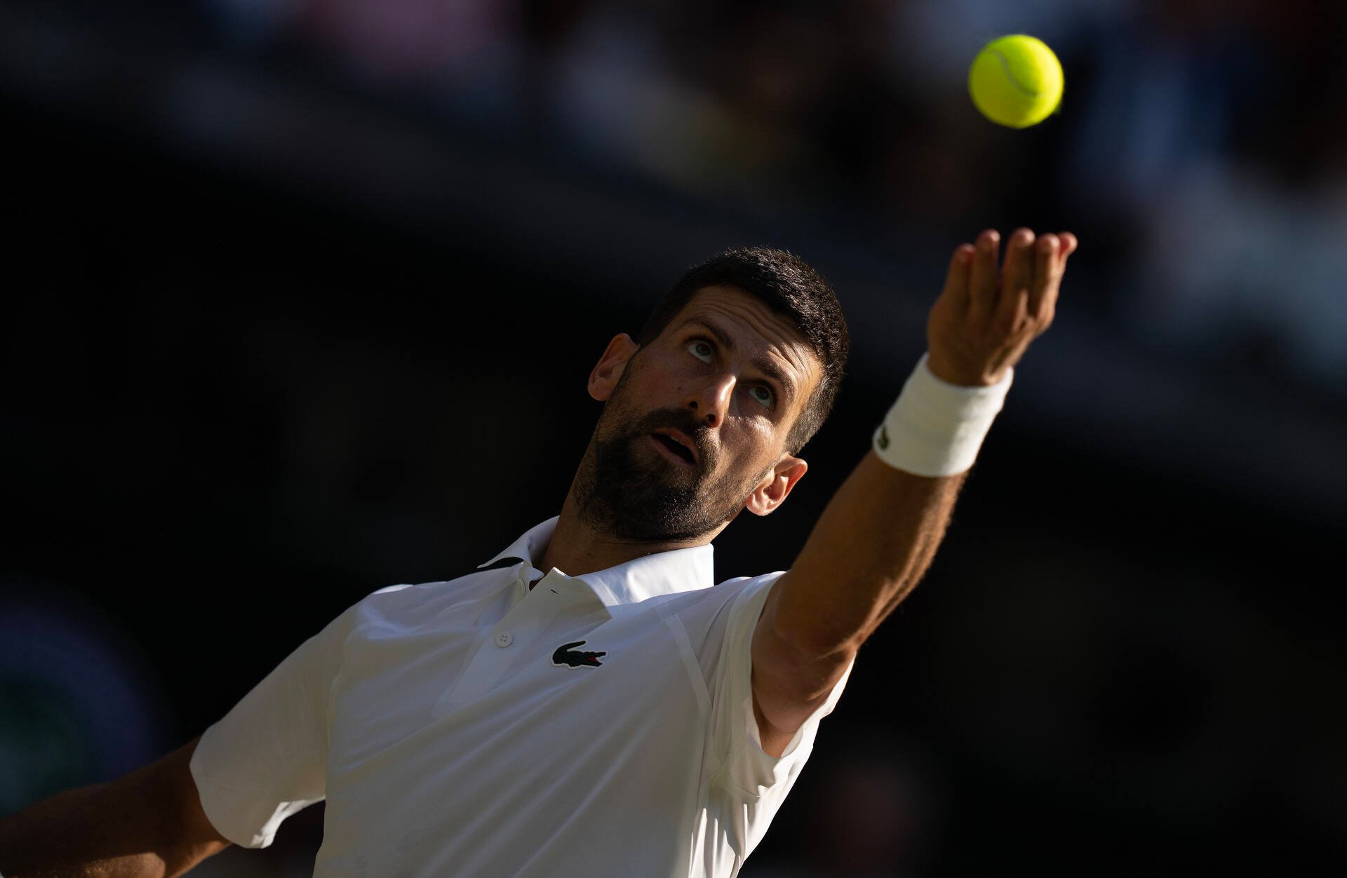 Belgrade Open relocated to Athens as Djokovic eyes Greece move