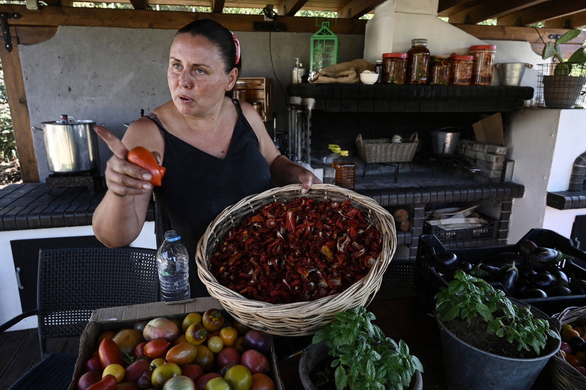 ‘Real’ Greek farmers fume over EU subsidies scandal