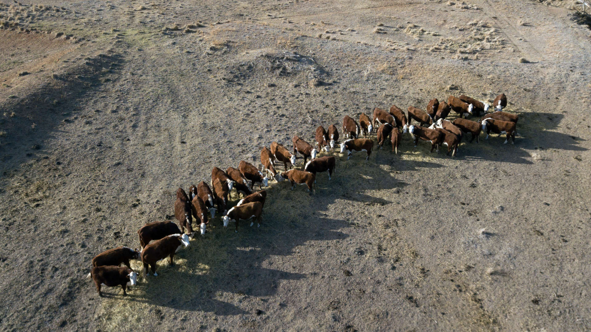 ‘Confronting’ climate impacts in Australia’s future
