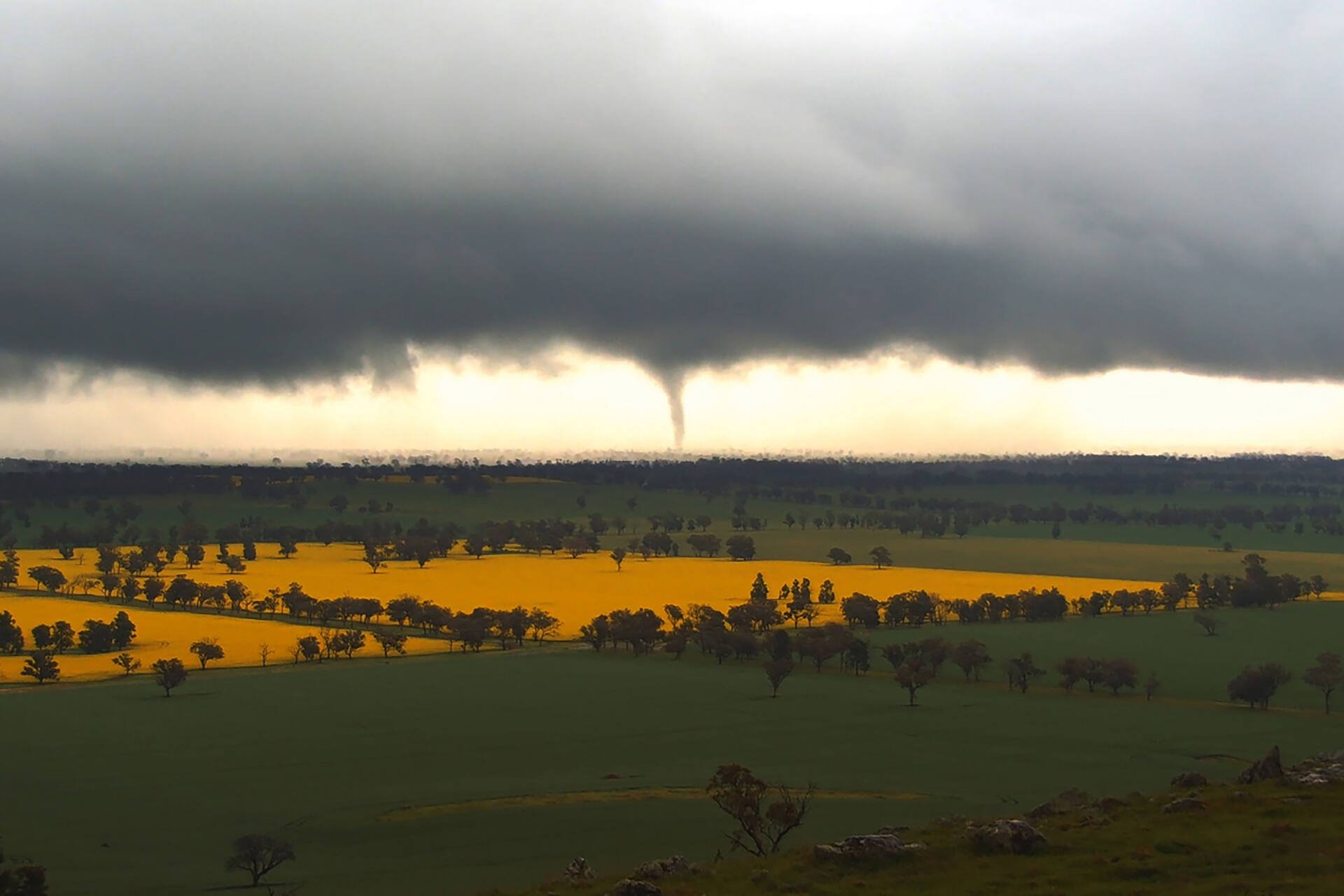 Heavy rain and wild winds push homes to breaking point